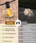 Rintea Guirnalda de Luces Exterior, 10M/33FT con 20+2 Bombillas G40, Luces LED Exterior IP44 Impermeable, Blanco Cálido 2700K Luces de Jardín para Jardín, Terraza, Navidad, Fiesta