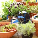 Riego Solar por Goteo, Kit de Riego por Goteo con Manguera de 10 M, Sistema de Riego Automático con 10 Puntas de Goteo, Maceta con Autoriego para Jardín, Interior, Terraza