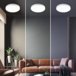 BRILONER – Lámpara de Techo LED Inteligente, Luz de Techo LED Wifi Regulable, Temperatura de Color Ajustable, Lámpara, Control por Voz, Lámpara de Salón, Lámpara de Dormitorio, 270x60mm