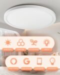 Plafón LED 30cm con RGB, Clase A, 24W 2400LM, Control por App/Alexa/Google, Mando a Distancia, IP54, Certificaciones CE/FCC/RoHS, para Baño, Dormitorio, Salón