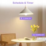 ANTELA Regleta Inteligente WiFi 3680W/16A, 4 Tomas + 2 USB A+2 USB C (Carga Rápida), Monitorización de Consumo, Horarios y Temporizadores, Compatible con Alexa y Google Home, Wifi 2.4 Ghz