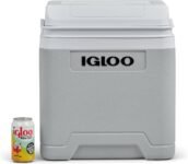 Nevera Eléctrica Igloo IE27 AC/DC para Coche y Toma de corriente, Mininevera 27 L Gris, 12V y 230V.