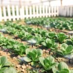 MQHUAYU Sistema de riego de jardín, kit de riego de 36 m con rociador de boquilla ajustable y gotero automático para jardín, invernadero, césped, terraza, terraza