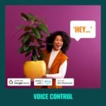 WiZ – Bombilla LED Inteligente Wi-Fi 6,7W (Eq. 50W) G125 Base E27, Filamento Ámbar, Luz Blanca Regulable, Tecnología SpaceSense y Compatible con Alexa y Google Home