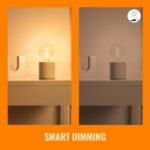 WiZ – Bombilla LED Inteligente Wi-Fi 6,7W (Eq. 50W) G125 Base E27, Filamento Ámbar, Luz Blanca Regulable, Tecnología SpaceSense y Compatible con Alexa y Google Home