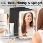 Citybee Nevera Pequeña Portátil 6L, Mini Nevera para Habitación 230V/12V, Nevera Cosmética Silenciosa para El Cuidado De La Piel Nevera Pequeña para Coche, Camping, Oficina (Negro)