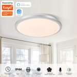 Lámpara de Techo Inteligente LED Horevo 24W: Lámpara Regulable con Control Remoto, Aplicación, Control por Voz – Temperatura de Color Ajustable, Brillo – Diseño Moderno