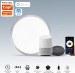 Lámpara de Techo Inteligente LED Horevo 24W: Lámpara Regulable con Control Remoto, Aplicación, Control por Voz – Temperatura de Color Ajustable, Brillo – Diseño Moderno