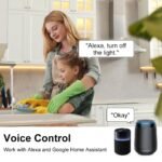 AXFEE Interruptor Inteligente WiFi, Interruptor WiFi Inteligente DIY de 2 Vías, Interruptor WiFi Inteligente Programable de 2,4 GHz, Compatible con Alexa y Google Home, 10A 2400W