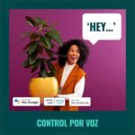 WiZ – Enchufe Inteligente con Medidor de Consumo, Control Inteligente vía Voz/App, Compatible con Alexa y Google Home y Tecnología SpaceSense