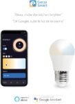 Garza Smart – Pack de 2 Bombillas LED Smart Wifi Esféricas, 5,5 W (Equivalente a 40 W Incandescencia), E27, CCT, Regulable, Programable, Control por Voz y App, Alexa/Google, WiFi 2,4 GHz