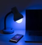 Garza Smart LED Bombilla Globo Inteligente Wifi G95, 11W (Equivalente a Incandescente 75W), E27, RGB+CCT, Regulable, Programable, Control por Voz y App, Alexa/Google, WiFi 2.4GHz