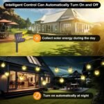 Suright Luces Solares LED Jardín Exterior, 8 M 30 LED Guirnaldas de Luces Solares, 8 Modos IP65 Impermeable para Decorar Jardines, Patios, Terrazas, Fiestas, Bodas – Blanco Cálido