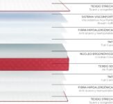 NALUI – Colchón Viscomfort Reversible Gredos 135 x 190 cm con Sistema Viscomfort, Tejido Stretch y Tejido 3D Transpirable. Altura: ±21 cm | Firmeza Media-Alta | Adaptables | Hecho en España