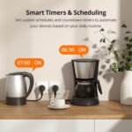 SONOFF S60ZBTPF Zigbee Smart Plug – Control remoto, monitor, encendido, temporizador, protección. Sobrecarga, Repetidor Zigbee, eWeLink