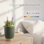 Difusor de aromas Earnest Living