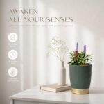 Difusor de aromas Earnest Living