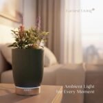 Difusor de aromas Earnest Living