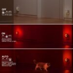 Luz LED con Sensor de Movimiento, 2 Piezas Luce Notturna Bambini da Presa, Modo Sensor o Siempre Encendido, Brillo Regulable, Certificación CE, Ideal para Dormitorio, Salón y Baño (Rojo)