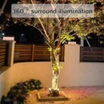 Luz LED circular para árbol de 24V CC para exteriores, bombilla de luz cálida expandible para palmeras y jardines, iluminación LED de pilar romano (5 JUEGOS)