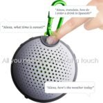 Boompods Aquablaster – Altavoz Bluetooth Inalámbrico, con Alexa Integrado, Exterior 11 cm Gris