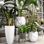 MOYKSRR 8 sistemas de riego por goteo para macetas, automático para plantas de interior, kit de sistema de riego automático, conos de arcilla para regar plantas de interior y exterior