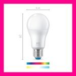 Bombilla WiZ Smart LED A60, blanca y a todo color, base E27, 60 W, 806 lúmenes, regulable, funciona con Alexa, Google Assistant y Apple HomeKit, paquete de 1