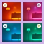 Bombilla WiZ Smart LED A60, blanca y a todo color, base E27, 60 W, 806 lúmenes, regulable, funciona con Alexa, Google Assistant y Apple HomeKit, paquete de 1