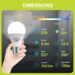Bombillas LED GY E27 Luz Fría 6500K – 9,5 W Equivalente a 100 W – 1521 Lúmenes, No Regulable – Bombilla LED Esférica A60 Caja de 2 Unidades