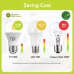 Bombillas LED GY E27 Luz Fría 6500K – 9,5 W Equivalente a 100 W – 1521 Lúmenes, No Regulable – Bombilla LED Esférica A60 Caja de 2 Unidades