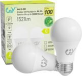Bombillas LED GY E27 Luz Fría 6500K – 9,5 W Equivalente a 100 W – 1521 Lúmenes, No Regulable – Bombilla LED Esférica A60 Caja de 2 Unidades