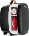 Enventor Nevera Pequeña 4L 6 Latas Negra, Mini Nevera con Nevera y Calentador, Nevera Portátil con Alimentación 12V/220V, Mini Nevera para Habitación, Oficina, Coche, Frutas y Bebidas